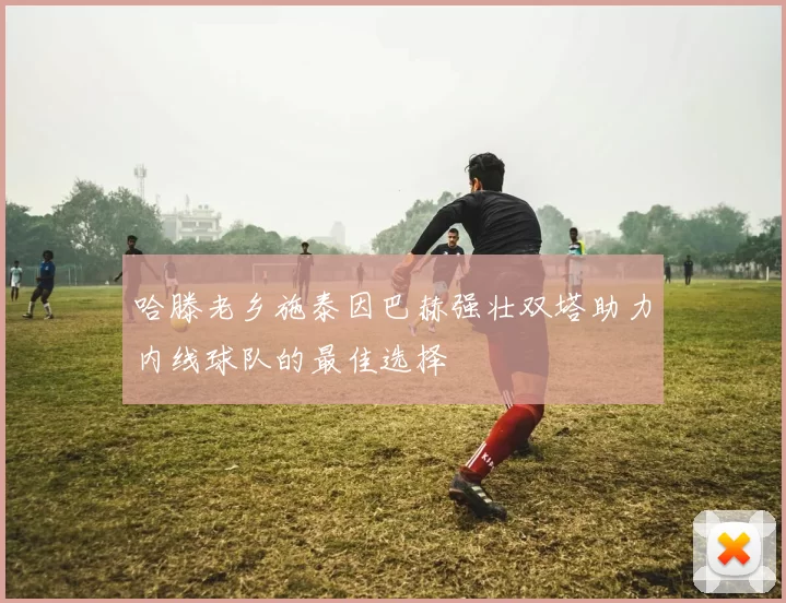 哈滕老乡施泰因巴赫强壮双塔助力内线球队的最佳选择